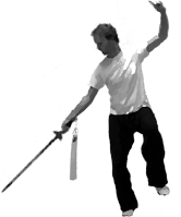 Tai Chi pose: immortal